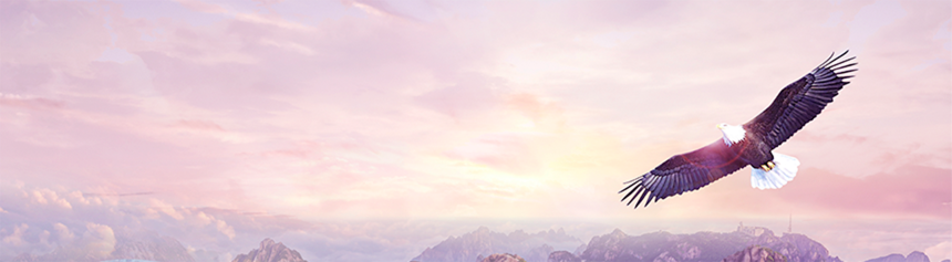 核心價(jià)值觀