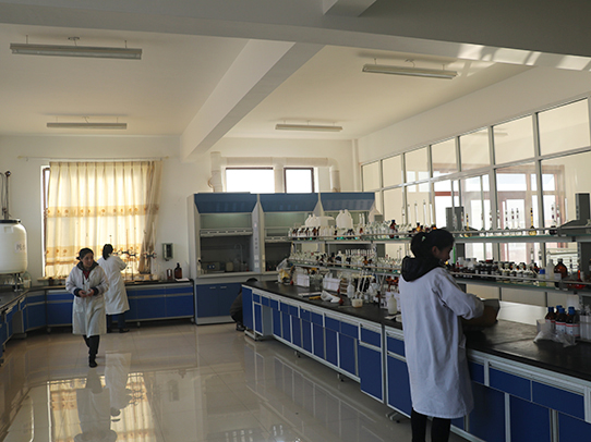 煙臺(tái)遠(yuǎn)東精細(xì)化工有限公司