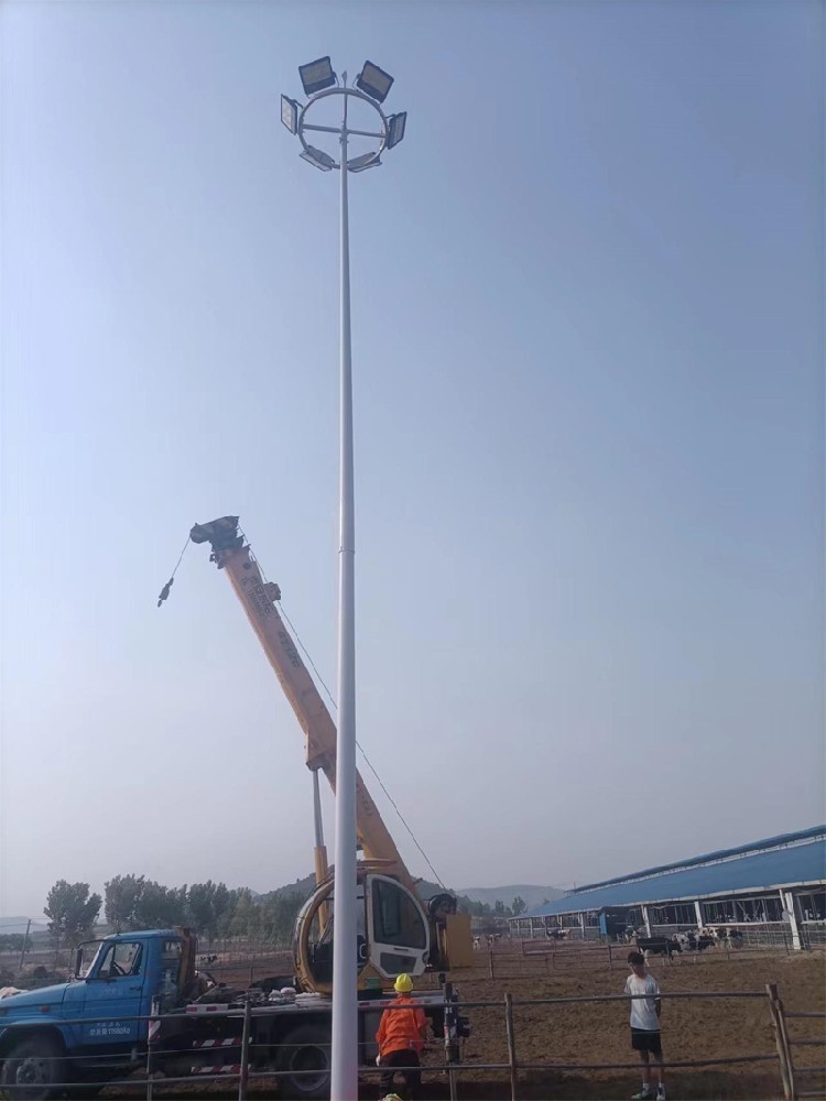 肥城牧場12套中桿燈案例
